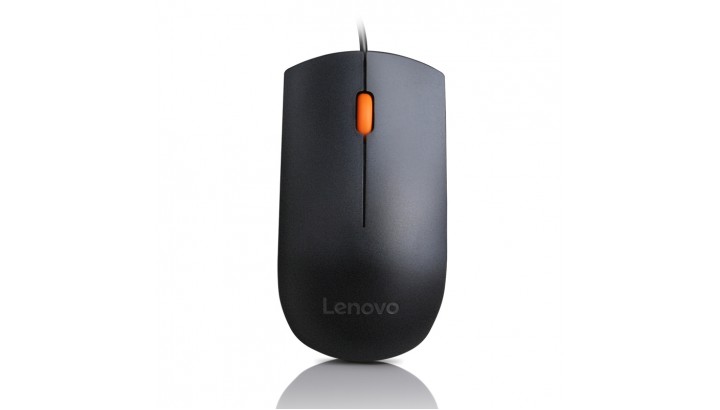 LENOVO Wired USB Mouse 300 pelė (GX30M39704)